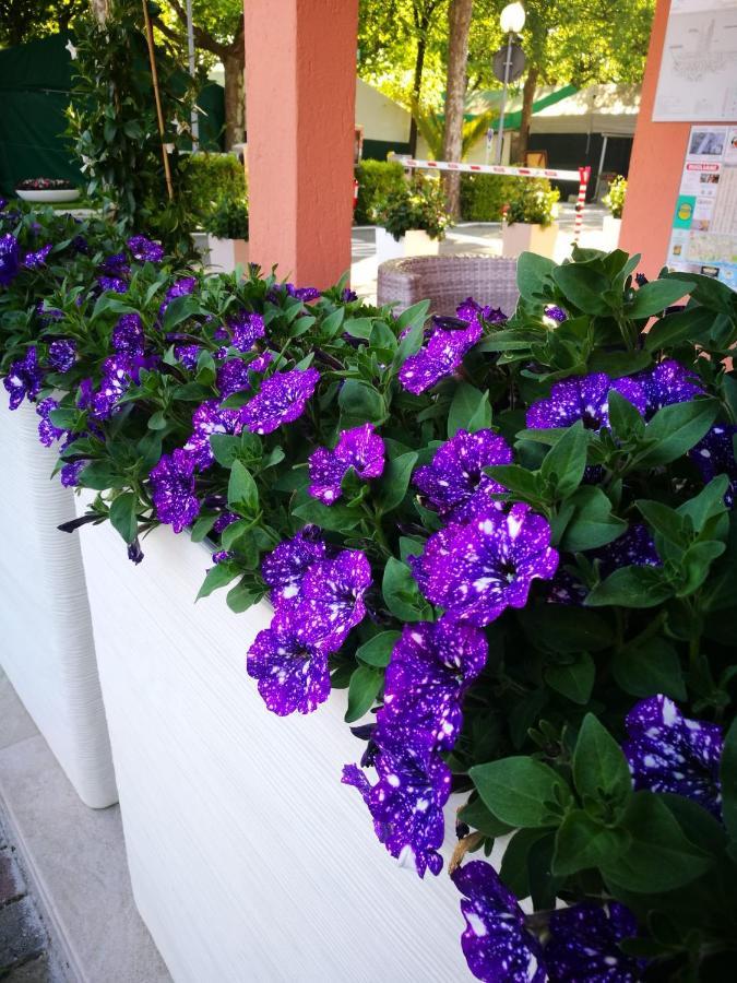 Camping Calatella Parco Di Vacanza Marina di Massa Exterior foto